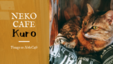 【NEKO CAFE KURO】米子初！にゃんこに癒やされる猫カフェにいってきたよ！／米子市