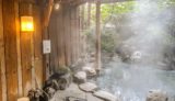 【清流荘】緑の中でリフレッシュできる露天風呂がおすすめ／三朝温泉