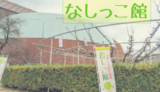 【なしっこ館】鳥取二十世紀梨を楽しく学べる博物館！／倉吉